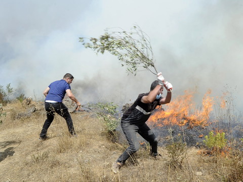 L'Algérie combat ses derniers feux de forêts, le bilan s'alourdit