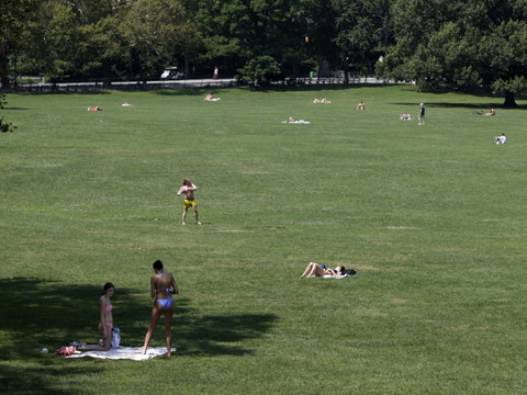 Des milliers de spectateurs attendus à Central Park pour un concert