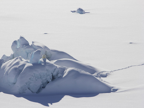 Pluie inédite près du sommet de la calotte glaciaire au Groenland