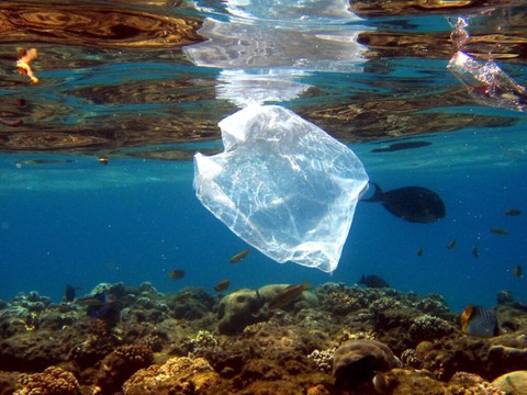 UE: proposition de résolution contre la pollution plastique