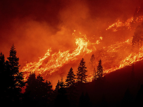 Appel à accélérer l'adaptation aux effets du changement climatique