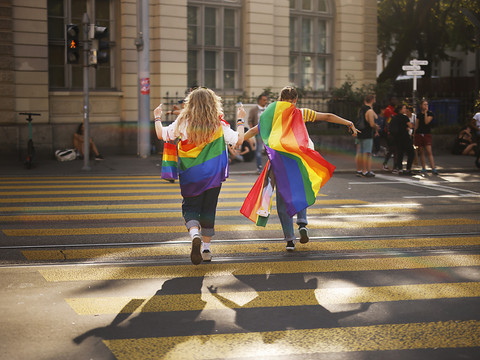 Verdict sur le mariage pour tous et l'initiative 99%