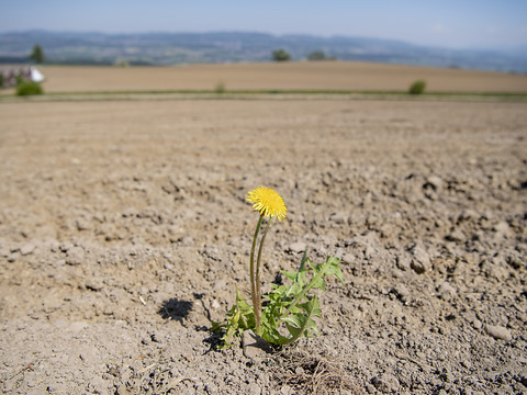 La protection du climat se fait une place dans la constitution