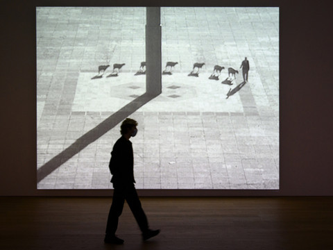 Les déambulations urbaines de Francis Alÿs au MCBA à Lausanne