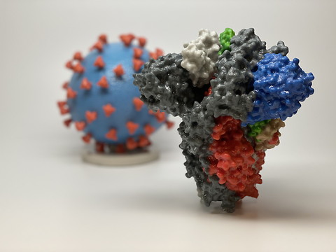 Une étude de l'EPFL ouvre la voie à de nouveaux traitements