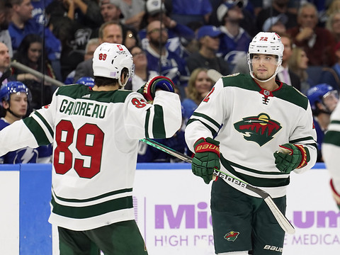 Fiala et le Wild arrachent un point