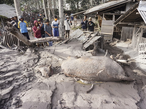 L'éruption du volcan Semeru a fait au moins 14 morts