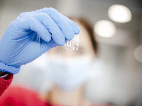 La Suisse compte 8167 nouveaux cas de coronavirus en 24 heures