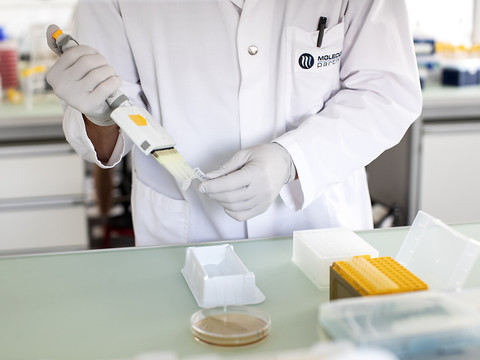 Le traitement anti-Covid de Novartis et Molecular franchit un cap