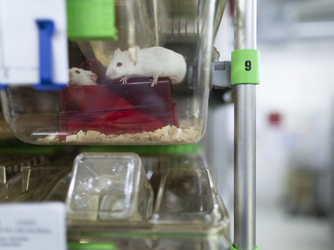 Les institutions de recherche mettent en garde contre l'initiative