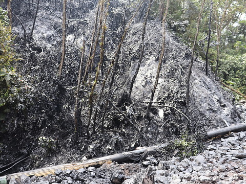 Equateur: rupture d'un oléoduc et fuite de pétrole dans la jungle amazonienne