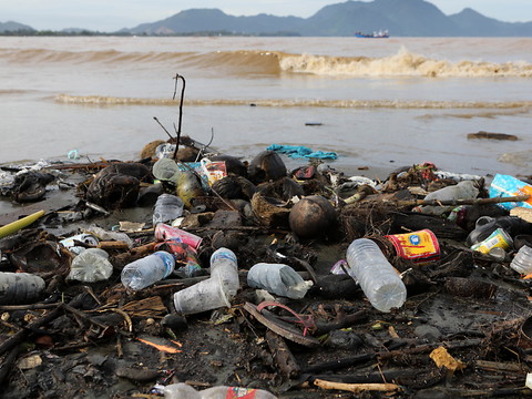 Il faut d'urgence s'attaquer à la pollution plastique marine (WWF)