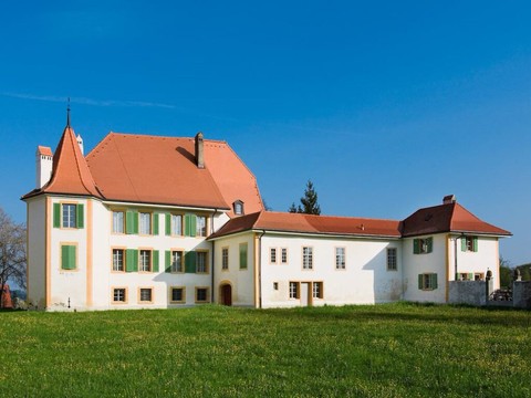 Le Musée du papier peint de Mézières (FR) fête ses quinze ans