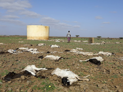 GIEC: la capacité d'adaptation humaine de plus en plus dépassée