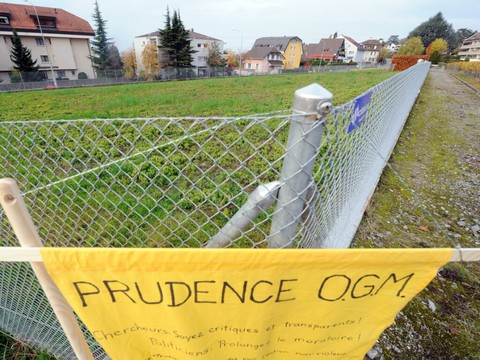 OGM: le Conseil fédéral chargé d'autoriser les nouvelles techniques