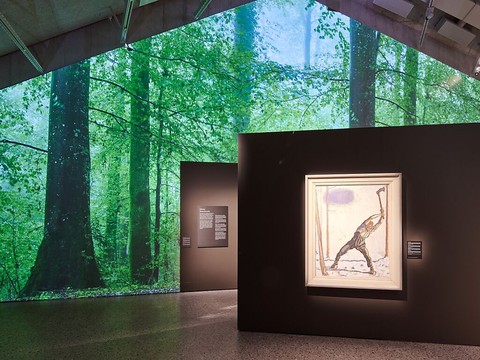 La forêt face à l'être humain: exposition sur un lien d'amour-haine