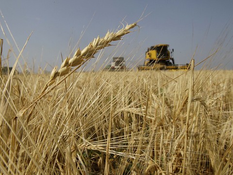 OCDE: la guerre en Ukraine coûtera un point de croissance en un an