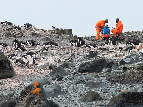 L'Antarctique à plus de 30°C au-dessus de la normale cette semaine
