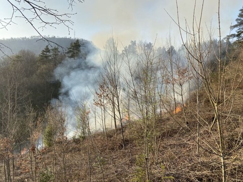 Les feux de forêt se succèdent à cause de la sécheresse