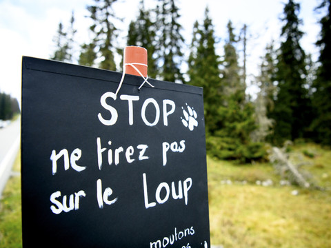 Meute du Marchairuz: un deuxième loup tué dans le canton de Vaud
