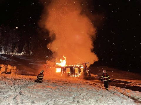 Quinze animaux périssent dans les flammes à Galgenen (SZ)