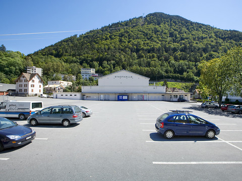 L'UDC veut une Suisse fidèle à la neutralité armée