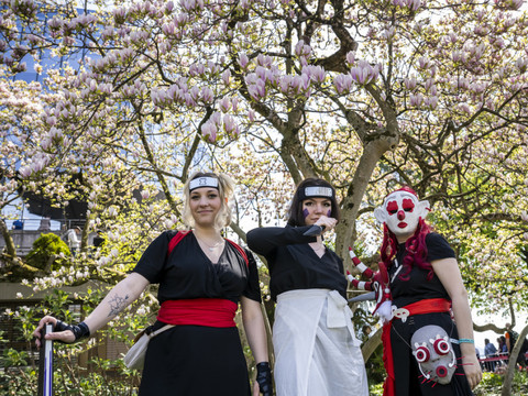 Pour son retour, Polymanga passe la barre des 50'000 visiteurs