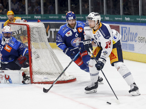 Les Zurich Lions sur leur lancée battent une deuxième fois Zoug
