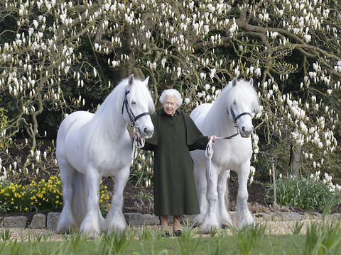 La reine Elizabeth II a célébré ses 96 ans dans l'intimité