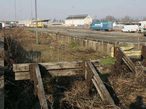 Des sols plus verts qu'on le croit, mais le béton gagne du terrain