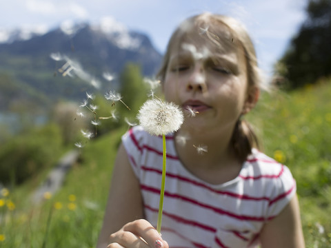 Début de la haute saison des pollens ces prochains jours