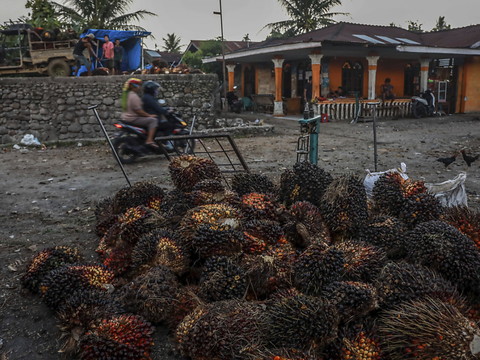 L'Indonésie suspend toutes ses exportations d'huile de palme
