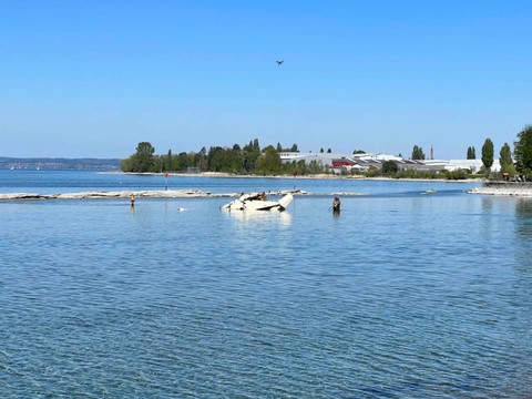 Un petit avion tombe dans le lac de Constance: son pilote décède