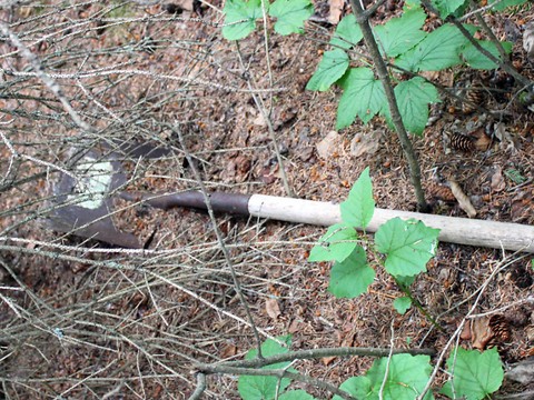 USA: il meurt en enterrant dans son jardin une femme assassinée
