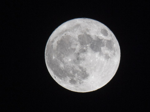 Des scientifiques ont fait pousser des plantes dans du sol lunaire
