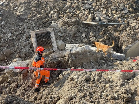 Trois morts sur un chantier à Feusisberg (SZ)