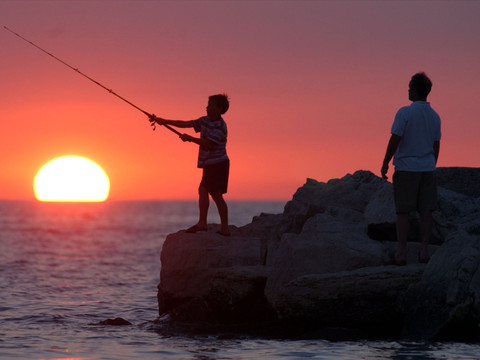 La surpêche recule en Europe, mais le climat inquiète