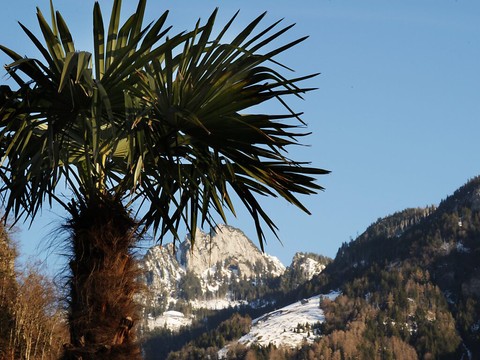 La Suisse a connu le deuxième mois de mai le plus chaud en 158 ans