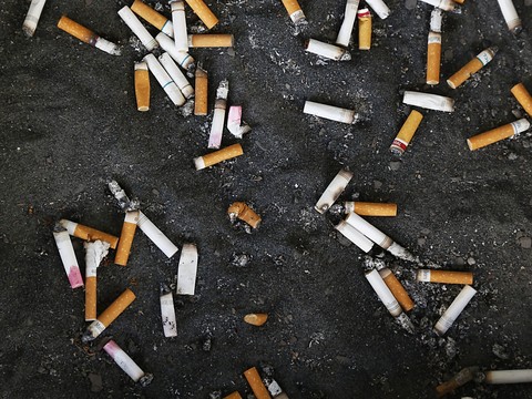Impact désastreux de l'industrie du tabac sur l'environnement (OMS)