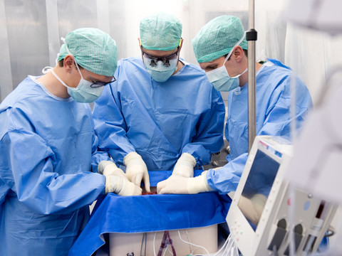 Zurich: une machine pour conserver les foies avant transplantation