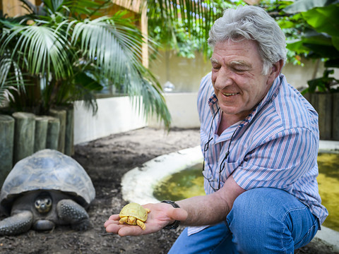 Un bébé albinos de tortue géante est né à Servion