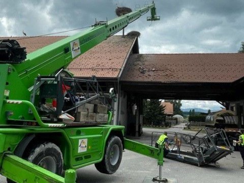 Une nacelle lâche dans le haras national d'Avenches, un mort