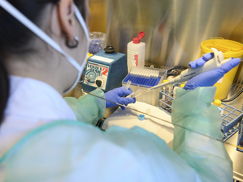 Baisse des prix des analyses de laboratoires dès le 1er août