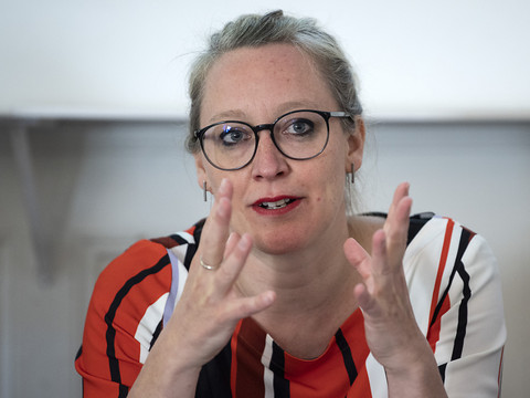 Les Verts critiquent Sommaruga pour son manque de stratégie globale