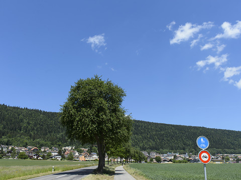 Maquette végétalisée de 18'000 m2 représentant le Val-de-Ruz