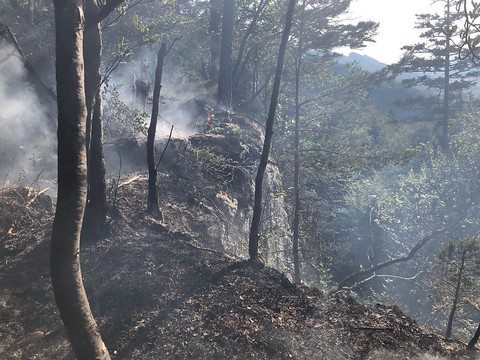Forêt en feu près de Balsthal