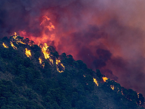 Canicule: les incendies gagnent du terrain en Espagne