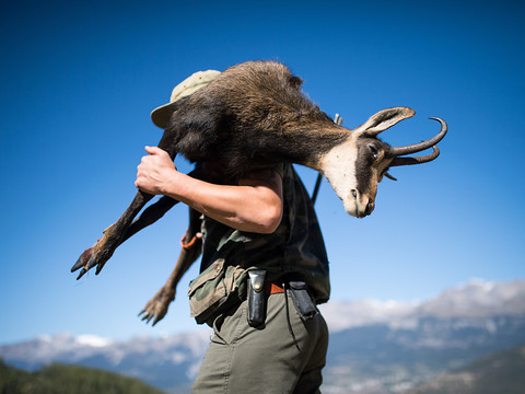 Chasse: photographe animalier condamné pour injure