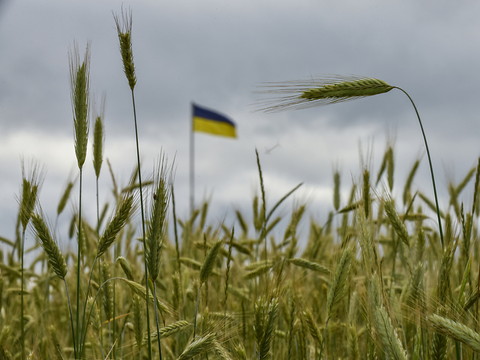 La guerre en Ukraine au centre du rapport du SRC