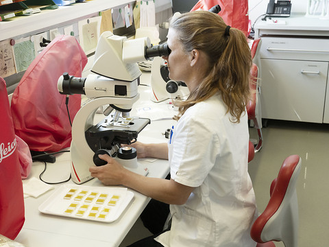 Recherche scientifique: chute des dépenses de Berne en 2021